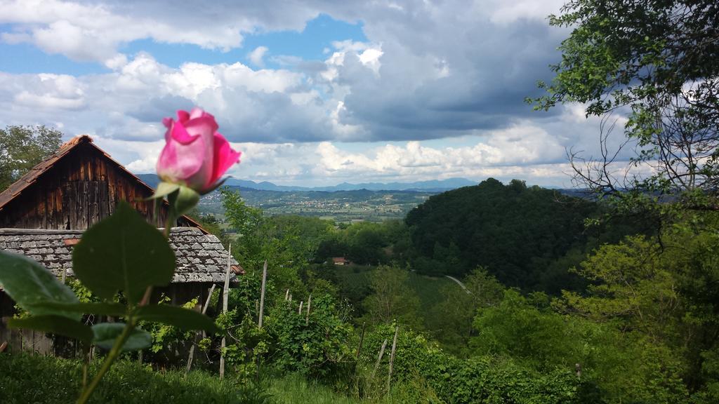Apartment House Sumrak Bizeljsko Zewnętrze zdjęcie